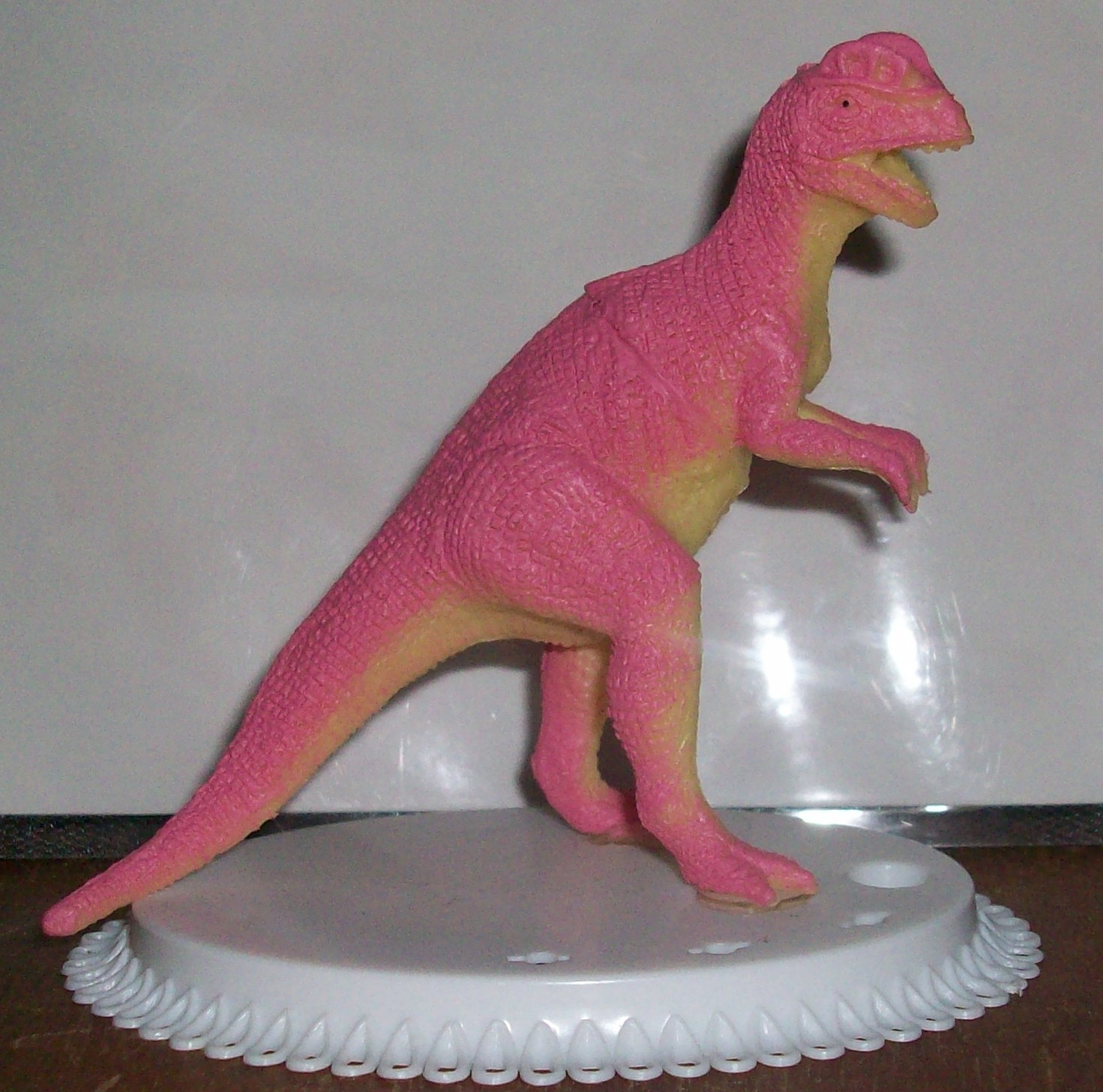 dinosaure_494.jpg