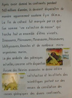 exdino04a.jpg