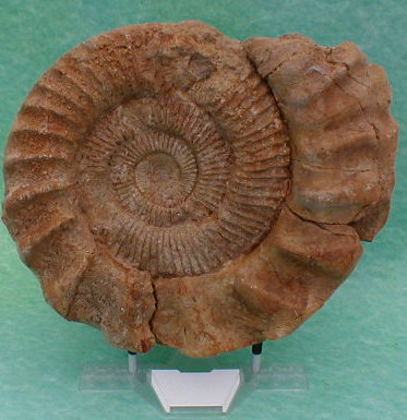 pres06a.jpg pres06a.jpg