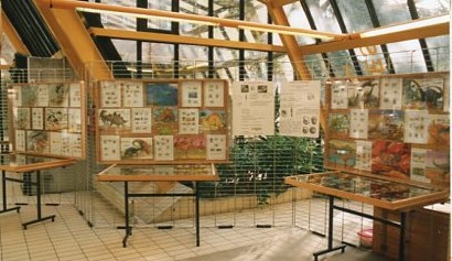 exposition20000110b.jpg