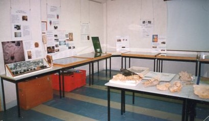 exposition20000202b.jpg