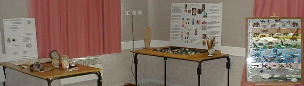 exposition20020122.jpg