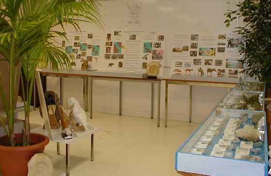 exposition20020202.jpg