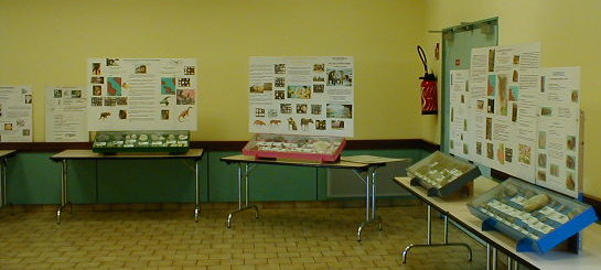 exposition20031107b.jpg