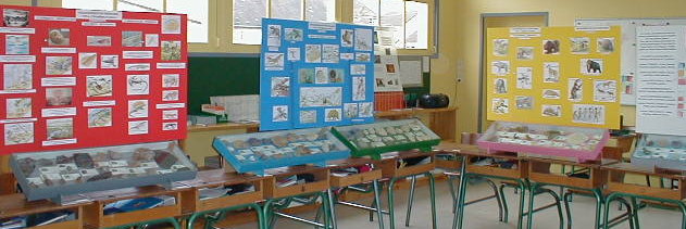 exposition20031125a.jpg