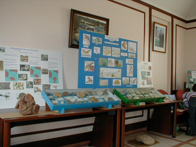 exposition20040209a.jpg
