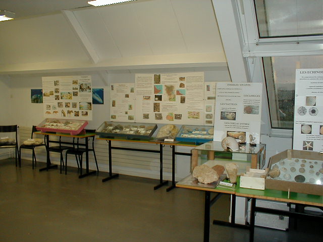 exposition20040304b.jpg