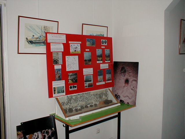 exposition20040304c.jpg