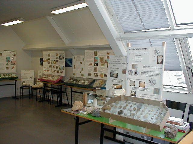 exposition20040304d.jpg