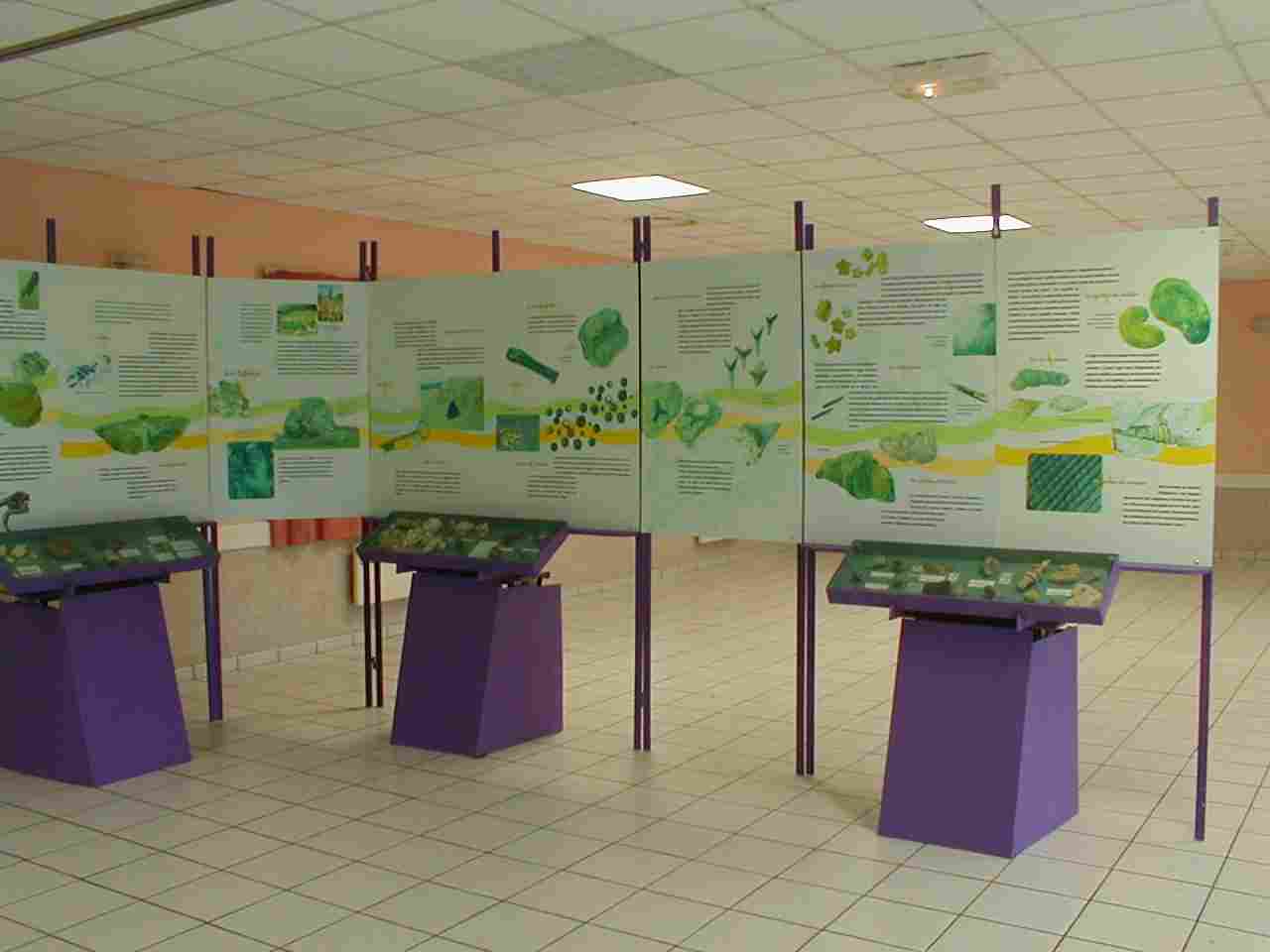 exposition20071114d.jpg exposition20071114d.jpg