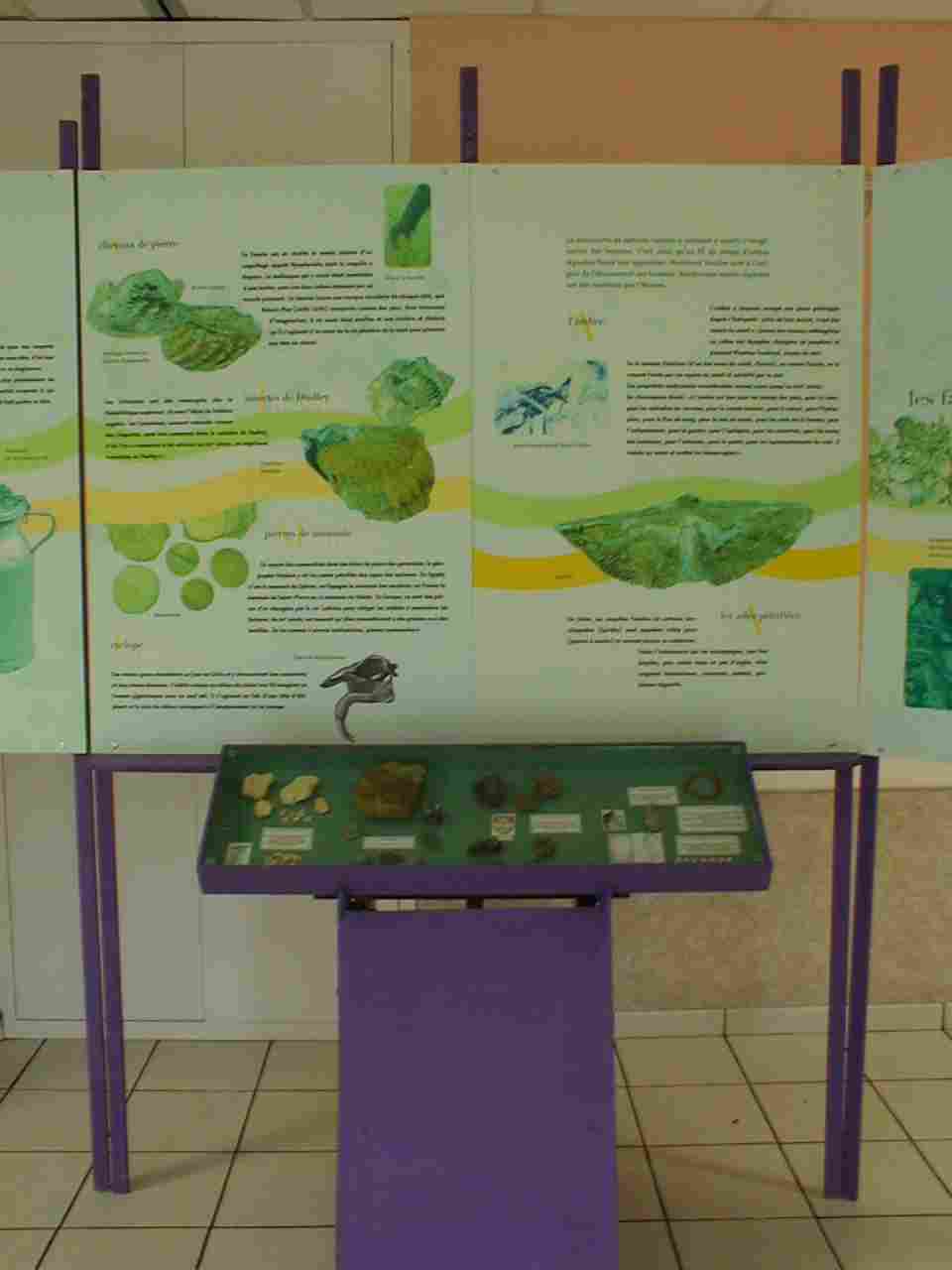 exposition20071114g.jpg exposition20071114g.jpg