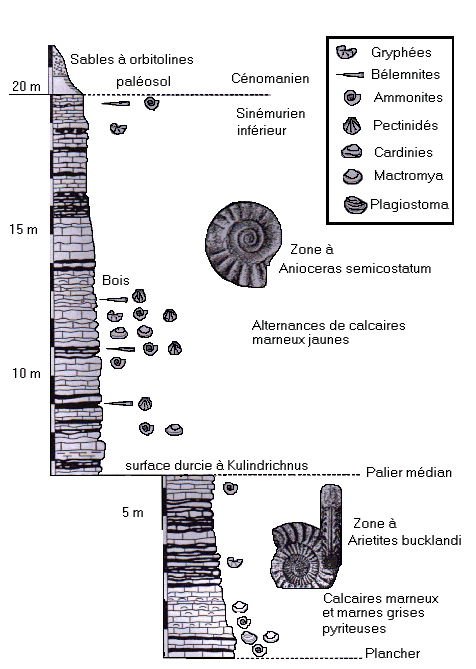 geologie20.gif geologie20.gif