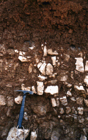 geologie24.gif geologie24.gif