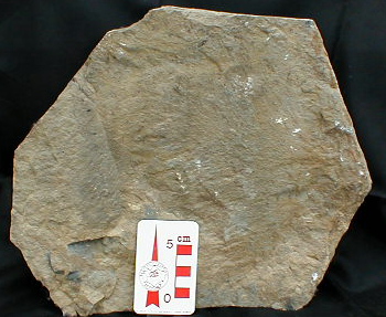 mineraux060.jpg mineraux060.jpg