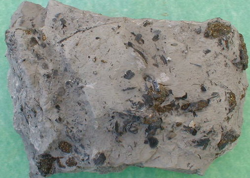 mineraux218.jpg mineraux218.jpg