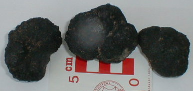 nodules04.jpg