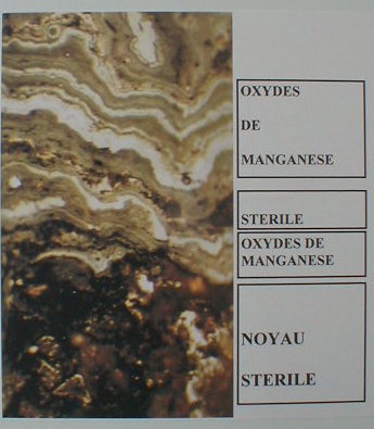 nodules06.jpg